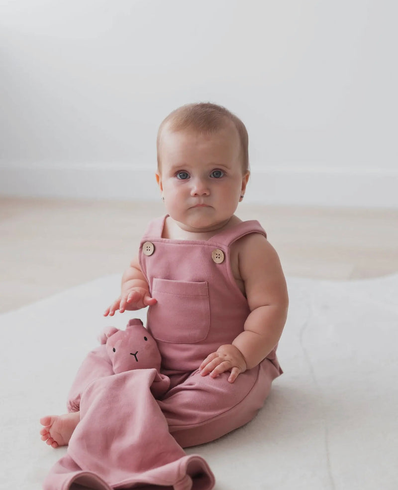 Load image into Gallery viewer, Doudou Lapin brossé Lovey-Berry coton bio - Boutique Kaki Lilas
