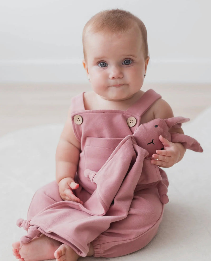 Load image into Gallery viewer, Doudou Lapin brossé Lovey-Berry coton bio - Boutique Kaki Lilas
